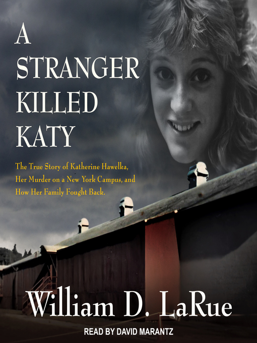 Title details for A Stranger Killed Katy by William D. LaRue - Available